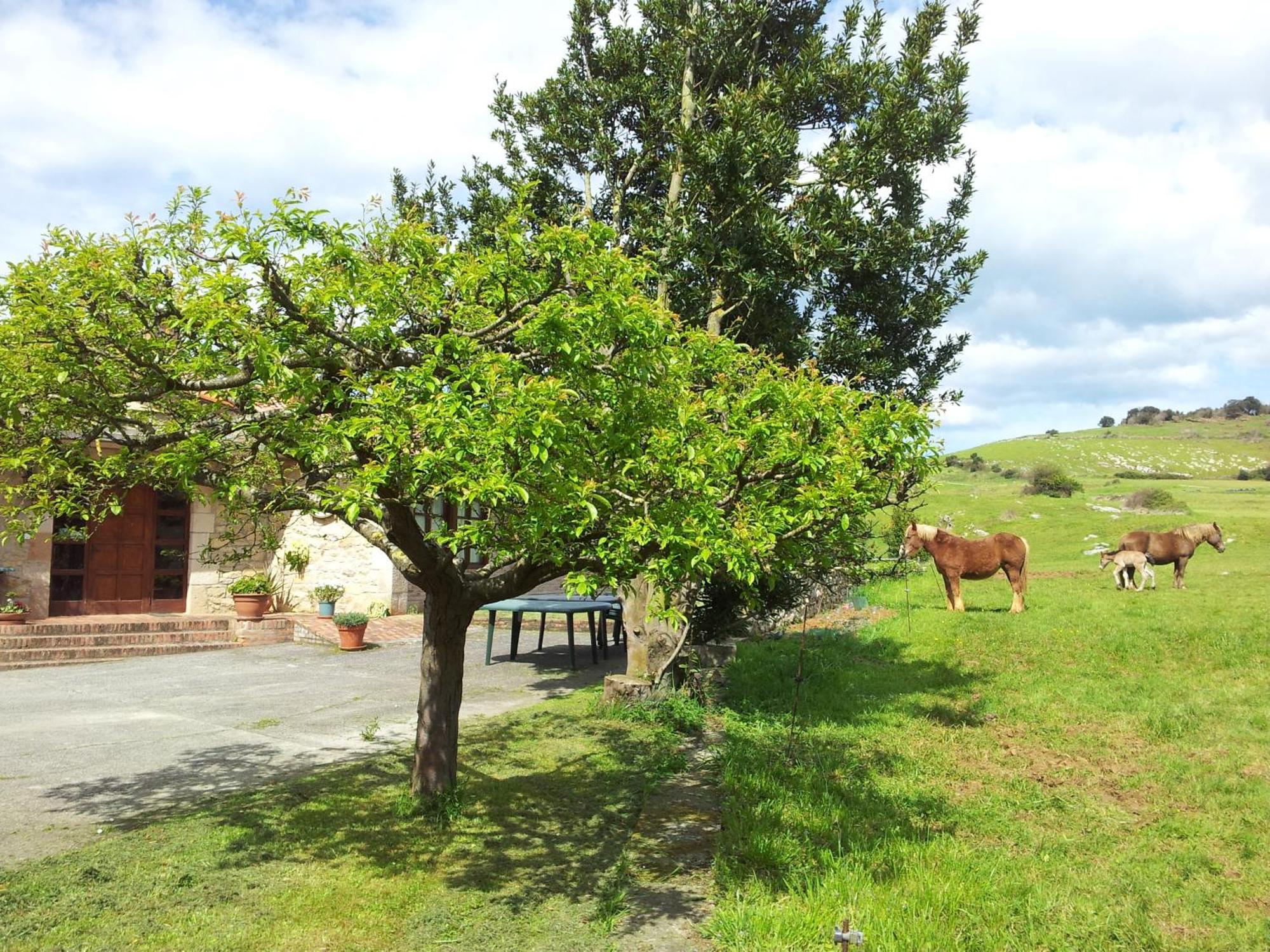 Posada La Roblera Casa de hóspedes Orena Exterior foto