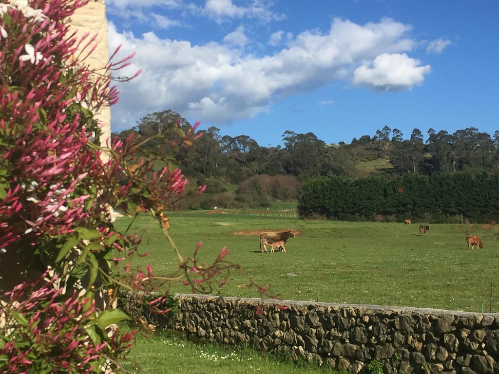 Posada La Roblera Casa de hóspedes Orena Exterior foto
